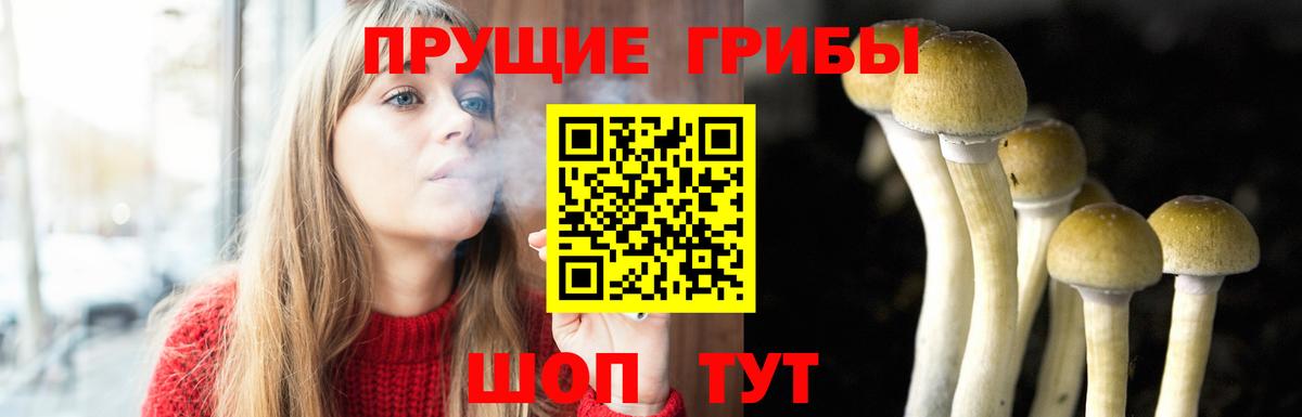 Псилоцибиновые грибы GOLDEN TEACHER  Вход с VPN  Ирбит 